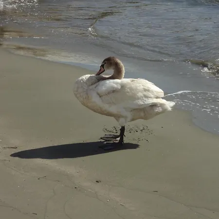 In Front Of The Beach. Khónias