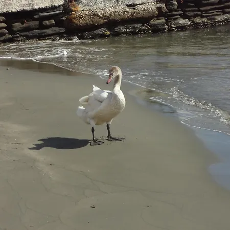 In Front Of The Beach. * Khónias