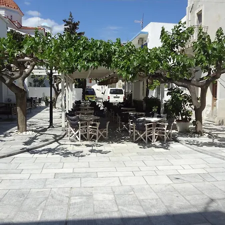 In Front Of The Beach. *